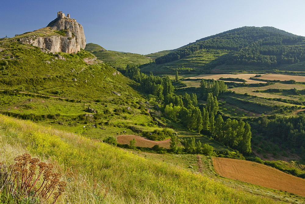 Castillo de Clavijo, castle, fortress near Logrono, Camino Frances, Way of St. James, Camino de Santiago, pilgrims way, UNESCO World Heritage, European Cultural Route, La Riojo, Northern Spain, Spain, Europe