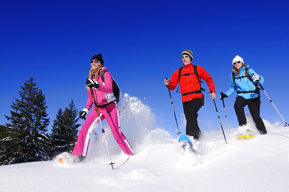 People snowshoeing, Hemmersuppenalm, Reit im Winkl, Chiemgau, Upper Bavaria, Bavaria, Germany, Europe