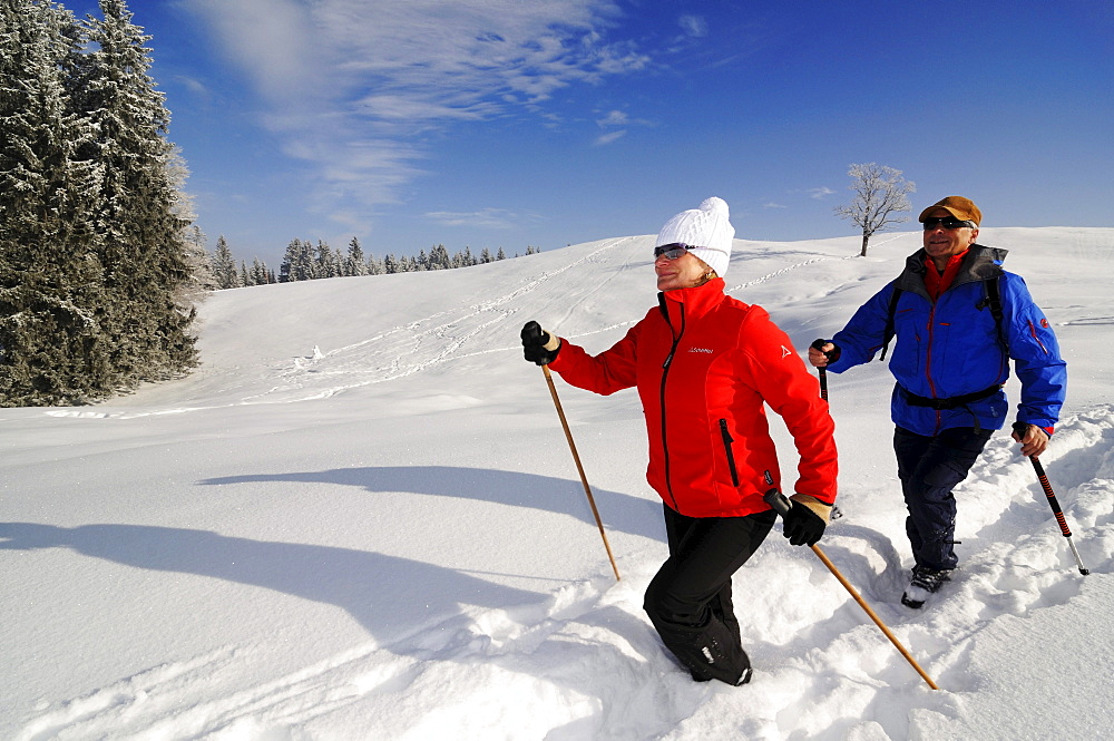 People hiking on winter hiking trail in snowy landscape, Hemmersuppenalm, Reit im Winkl, Chiemgau, Bavaria, Germany, Europe