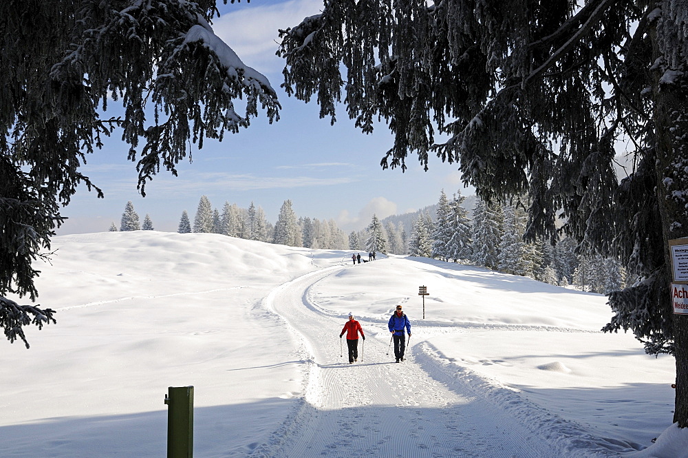 People hiking on winter hiking trail in snowy landscape, Hemmersuppenalm, Reit im Winkl, Chiemgau, Bavaria, Germany, Europe
