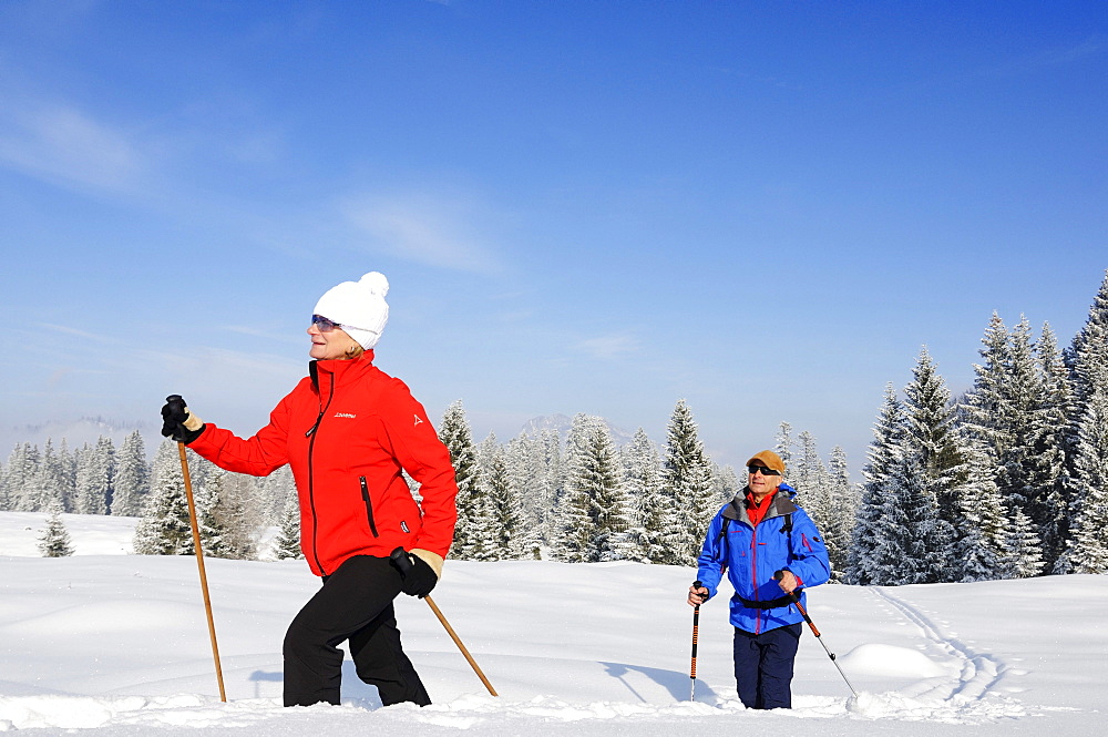 People hiking on winter hiking trail in snowy landscape, Hemmersuppenalm, Reit im Winkl, Chiemgau, Bavaria, Germany, Europe