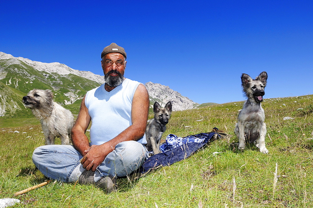 Shepherd and dogs in the mountains, Corno Grande, Campo Imperatore, Gran Sasso National Park, Abruzzi, Italy, Europe