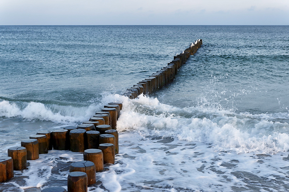 Groyne, Ahrenshoop, Baltic Sea, Fischland-Darss-Zingst, Mecklenburg-Western Pomerania, Germany