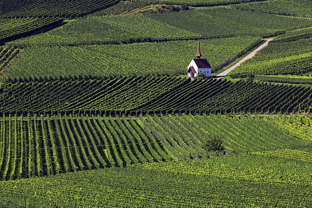 Eichert chapel in the vineyards near Jechtingen, Kaiserstuhl, Breisgau, Black Forest, Baden-Wuerttemberg, Germany