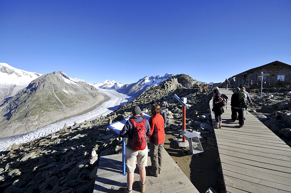 View from mount Eggishorn to Aletsch Glacier, Canton of Valais, Switzerland