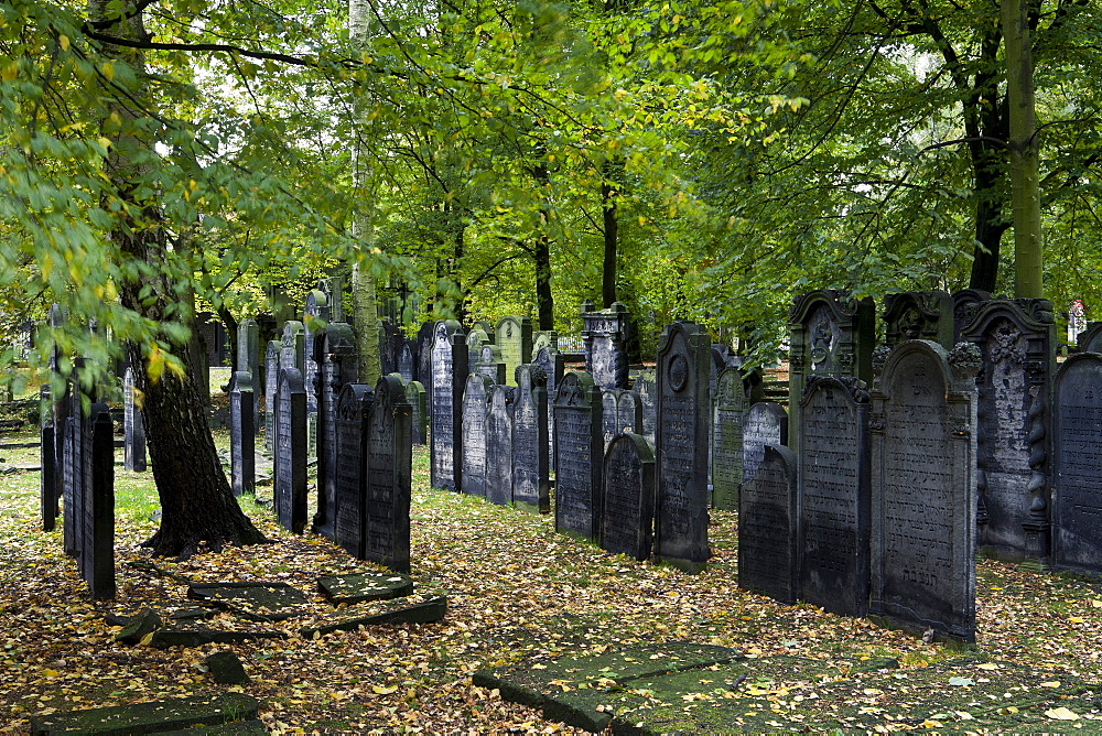 Gravestones at jewish cemetery at the district Altona, Hanseatic city of Hamburg, Germany, Europe