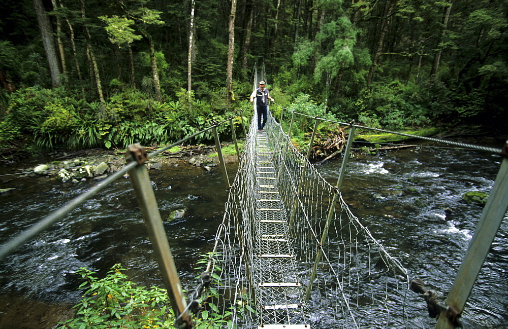 Rope bridge over Catlin River, Catlin Forest Park, New Zealand