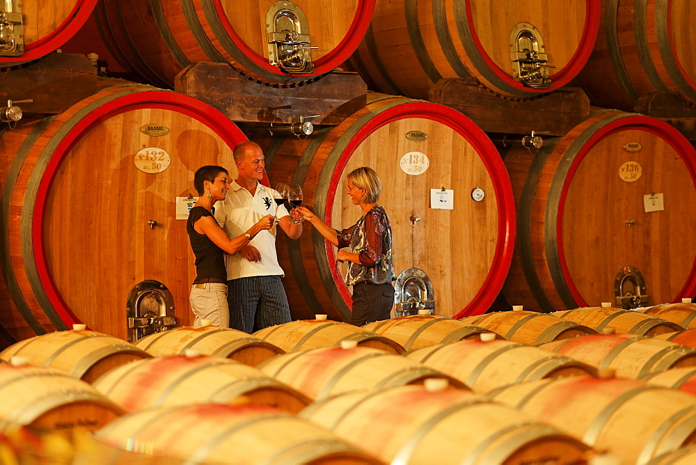 Clink glasses, Winetasting Bardolino, Zeni Vineyard, Bardolino, Veneto, Italy