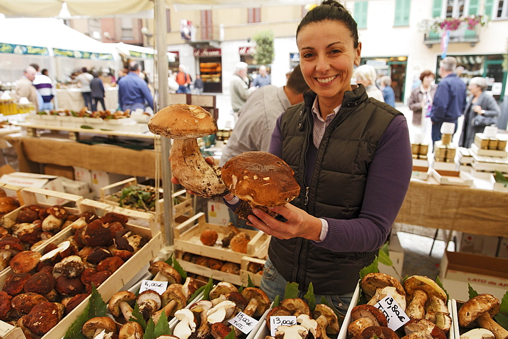 Giant Mushrooms, Market, Alba, Piedmont, Italy