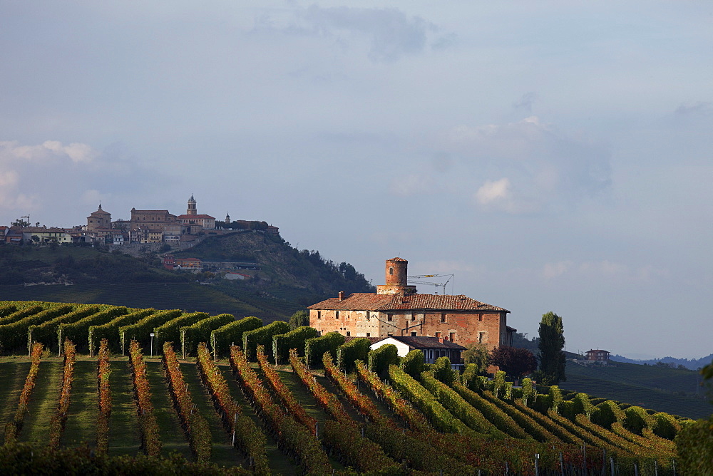 Alba, Background La Morra, Langhe, Piedmont, Italy