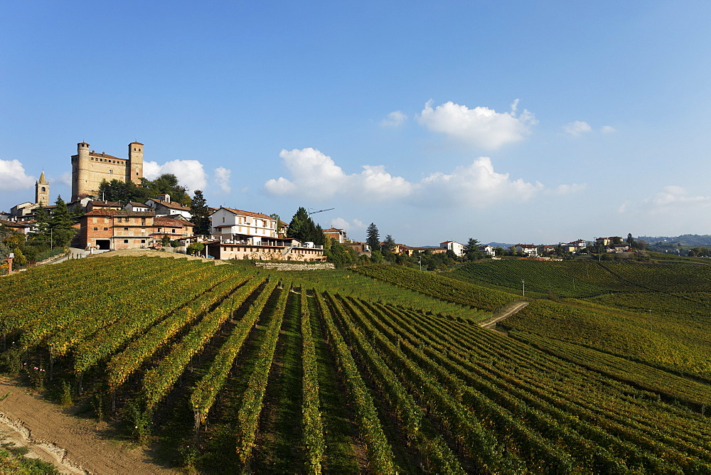 Serralunga d'Alba, Langhe, Piedmont, Italy