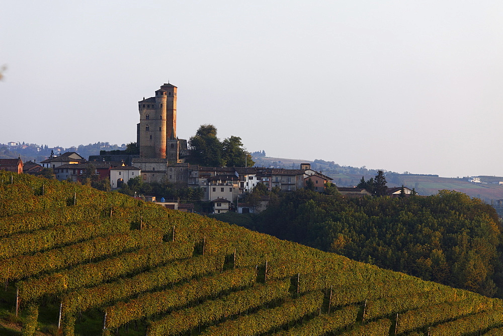 Serralunga d'Alba, Langhe, Piedmont, Italy