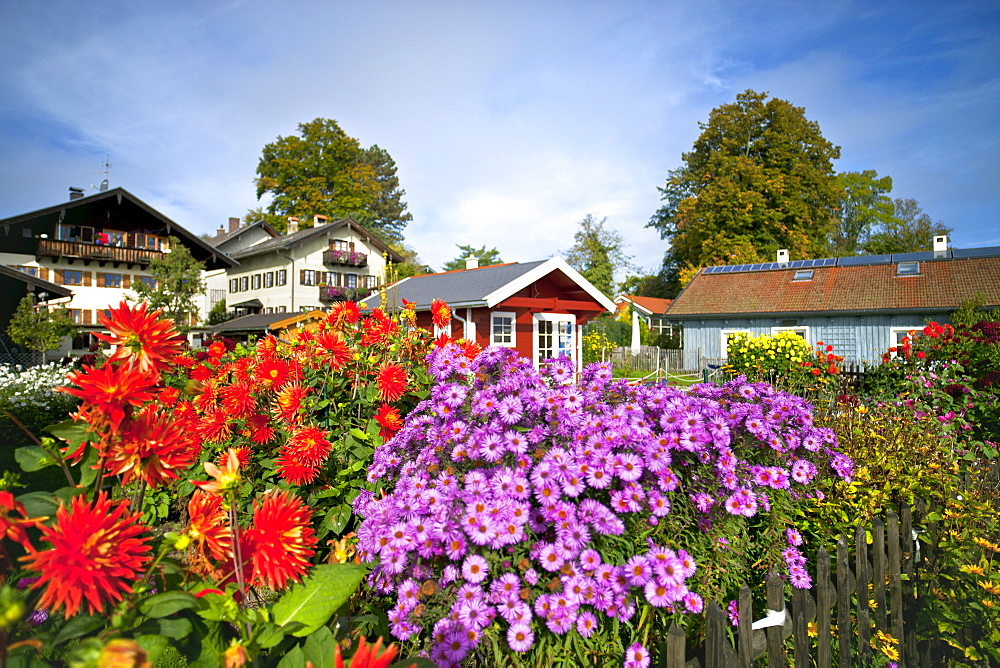 Garten of a farmhouse, Fraueninsel, Chiemsee, Chiemgau, Upper Bavaria, Bavaria, Germany