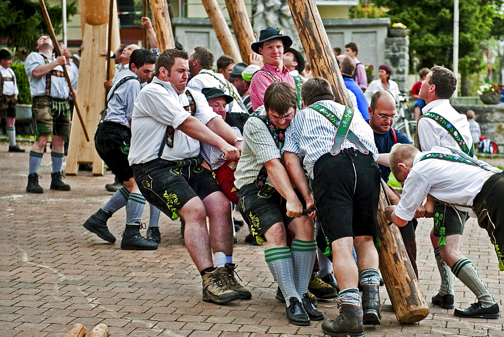 Erection of Maypole, Sindelsdorf, Weilheim-Schongau, Bavarian Oberland, Upper Bavaria, Bavaria, Germany