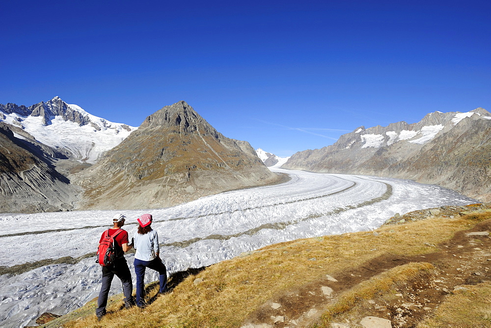 Couple looking towards glacier Grosser Aletschgletscher and Aletschhorn, Grosser Aletschgletscher, UNESCO World Heritage Site Swiss Alps Jungfrau - Aletsch, Bernese Alps, Valais, Switzerland, Europe