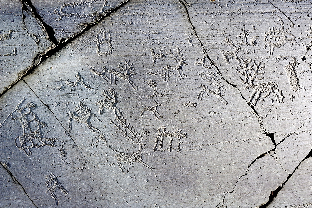 Hunting scene with antler, dog and hunter, Etruscan rock drawing, iron age, Naquane, Val Camonica, UNESCO World Heritage Site Val Camonica, Lombardy, Italy, Europe