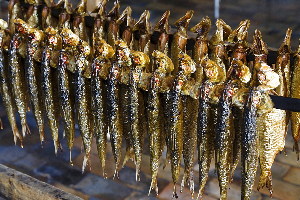 Smoked Herrings, Bornholm, Denmark, Europe