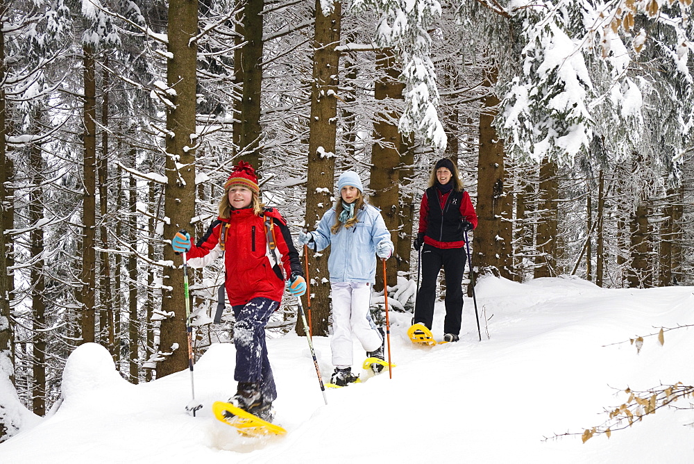 Snoeshoe hikers in the Bavarian Alps, Upper Bavaria, Germany, Europe