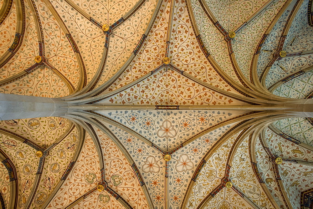 Arched roof of the refectory, Bebenhausen monastery, Bebenhausen, Tuebingen, Baden-Wuerttemberg, Germany, Europe