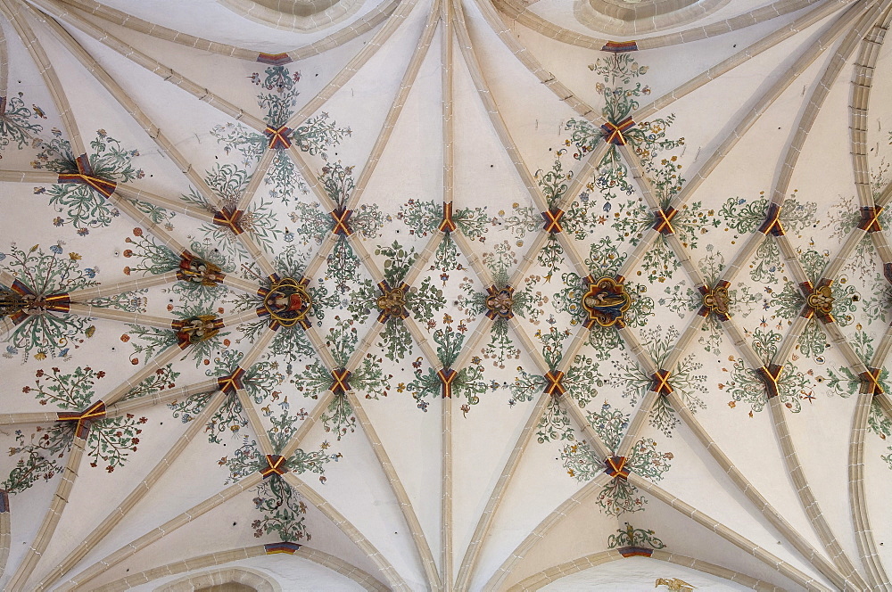 Arched roof of Blaubeuren monastery, Blaubeuren, Baden-Wuerttemberg, Germany, Europe