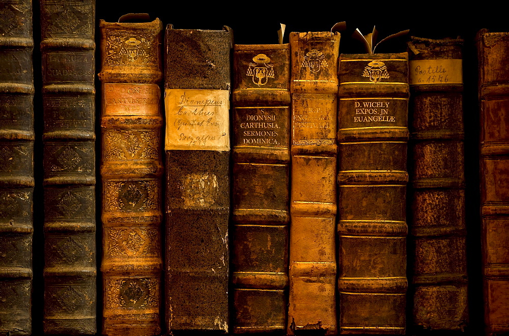 Books at library of St. Nikolaus-Hospitals, Cusanusstift, Bernkastel-Kues, Rhineland-Palatinate, Germany, Europe