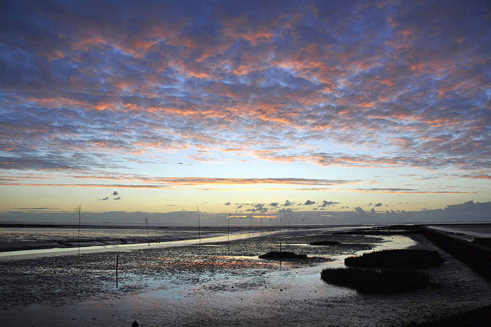 Mudflat in Spieka near Nordholz, North Sea coast of Lower Saxony, Germany