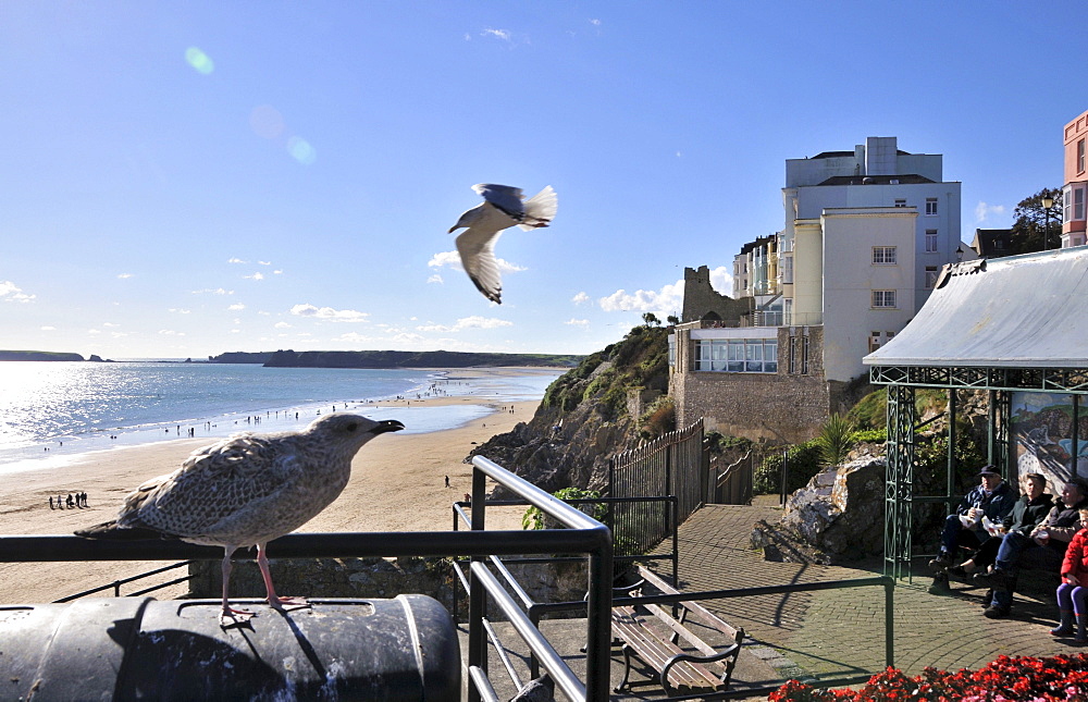 Seapromenade at Tenby, Pembrokeshire, south-Wales, Wales, Great Britain