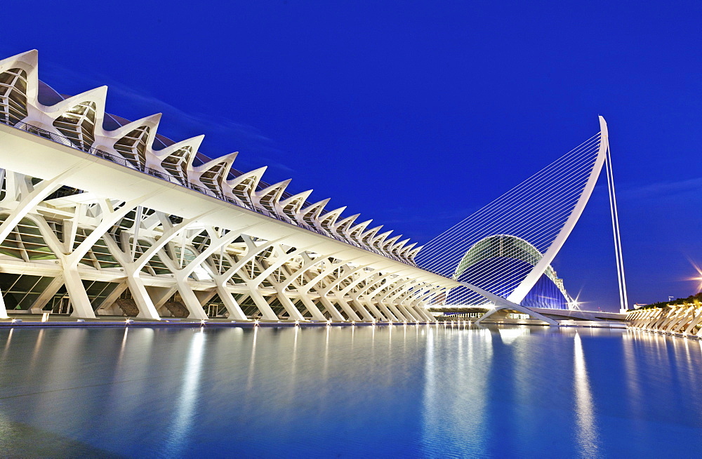 The Science Museum, Museu de les Ciencies PrÃŒncipe Felipe and bridge, Puente de l'Assut de l'Or, City of Arts and Sciences, Cuidad de las Artes y las Ciencias, Santiago Calatrava (architect), Valencia, Spain