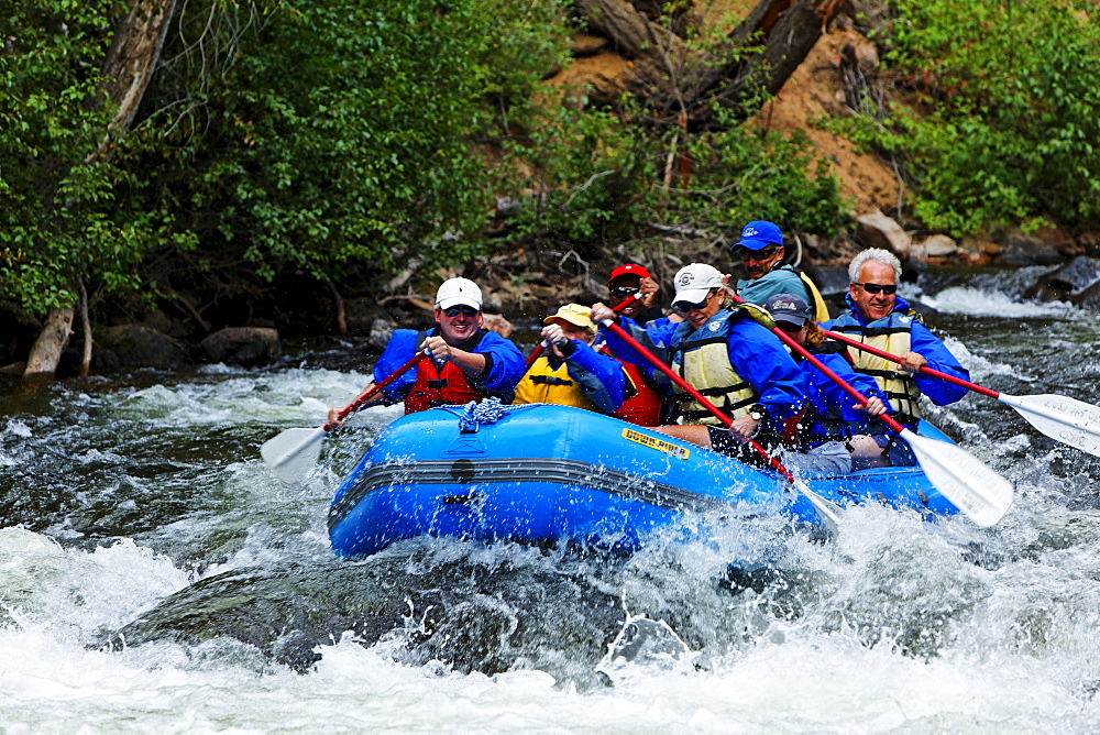 Gunnison, White Water rafting am Taylor River, North America, America