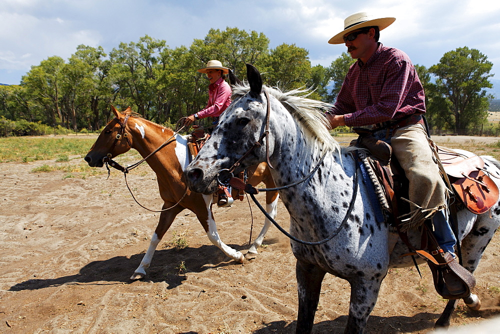 Zapata Ranch is a working ranch where tourists can stay and work, Alamosa, Alamosa County, Colorado, USA, North America, America