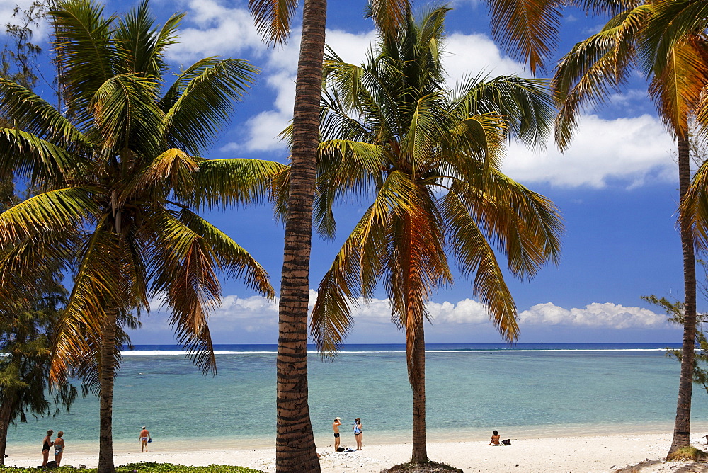 People and palm trees on the beach, Saint Gilles les Bains, La Reunion, Indian Ocean