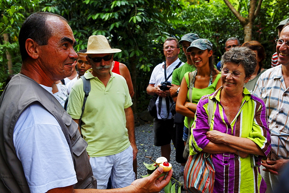 Guided tour in the parfume and spice garden of Saint Philippe, La Reunion, Indian Ocean