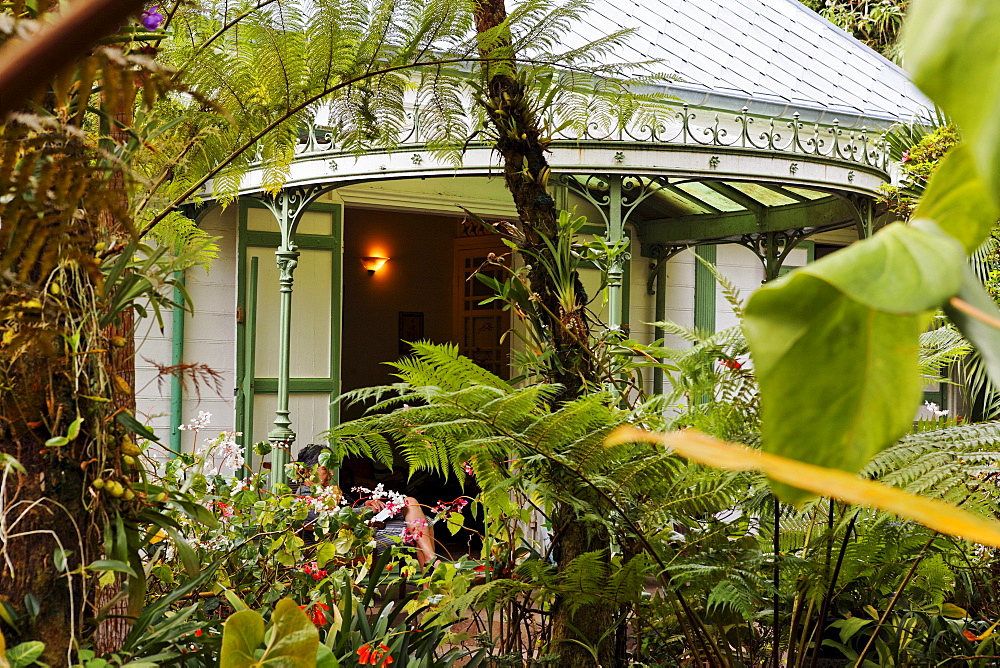 in the garden of the creole maison Folio, Hell-Bourg, La Reunion, Indian Ocean