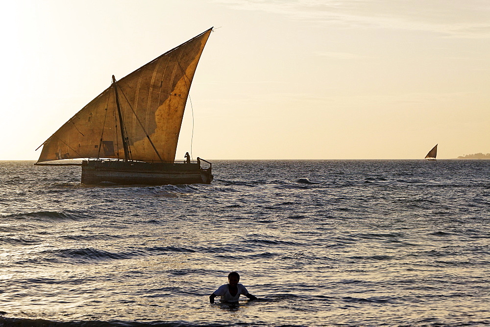 Dhows sail along Stonetowns city beach, Zanzibar City, Zanzibar, Tanzania, Africa