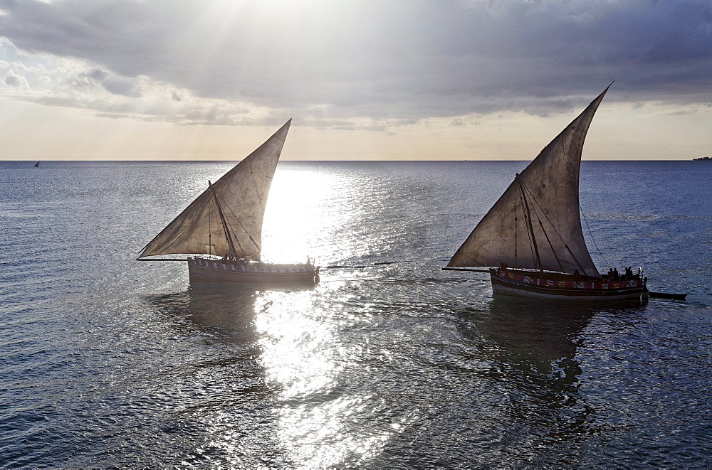 Dhows sail along Stonetowns city beach, Zanzibar City, Zanzibar, Tanzania, Africa