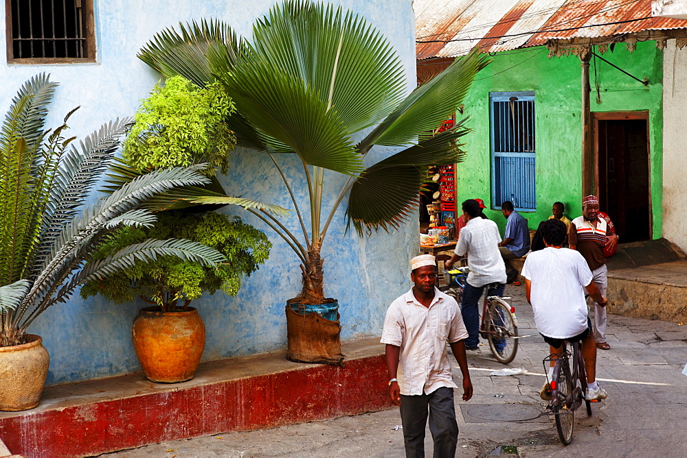 Street life, local people in an alley in Stonetown, Zanzibar City, Zanzibar, Tanzania, Africa