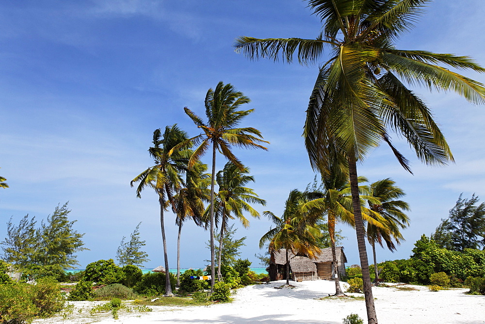 Strand, Dhau Inn Hotel, Paje, Zanzibar, Tanzania, Africa