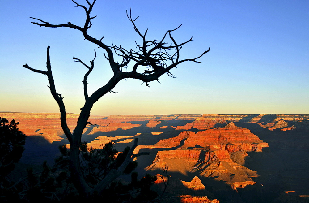 Sunset at South Rim, Grand Canyon, Arizona, southwest USA, America