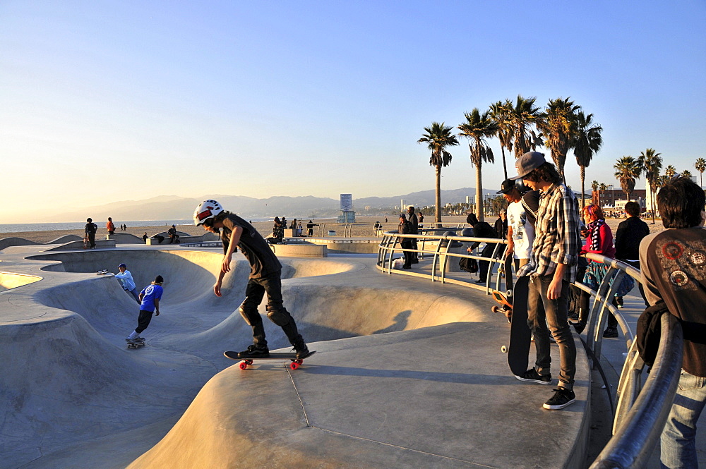 Skateboarders at Venice Beach in the evening, Santa Monica, Los Angeles, Los Angeles, California, USA, America