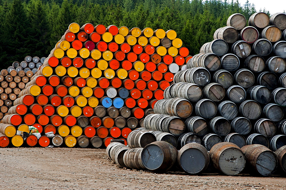 Empty oak barrels at Speyside Cooperage, Craigellachie, Aberdeenshire, Scotland