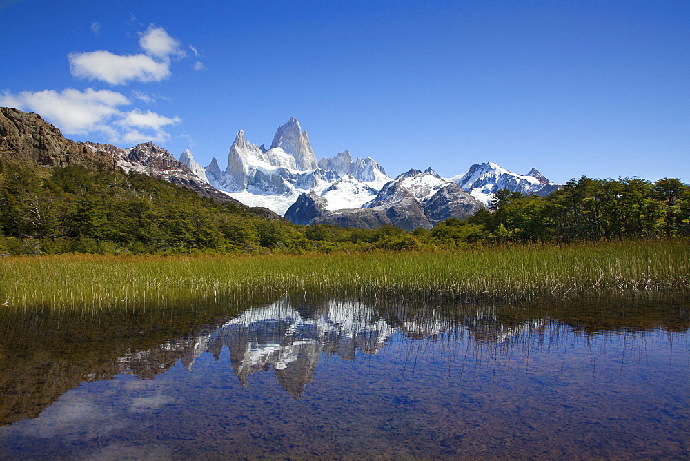 Mt. Fitz Roy reflecting in a little pond, Los Glaciares National Park, near El Chalten, Patagonia, Argentina