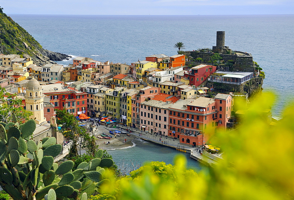 View of colourful houses and harbour, Vernazza, Cinque Terre, La Spezia, Liguria, Italy, Europe