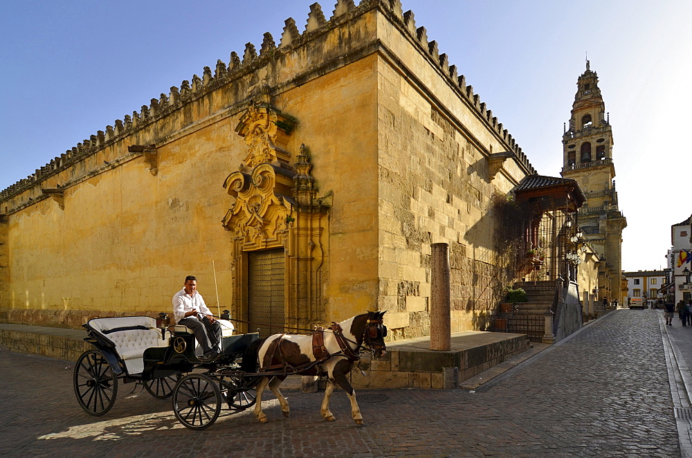 Horse drawn carriage in front of the cathedral La Mezquita, Cordoba, Andalusia, Spain, Europe