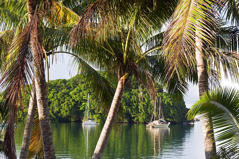 Sailing Boats anchor near Island, Suva Harbour, Viti Levu, Fiji