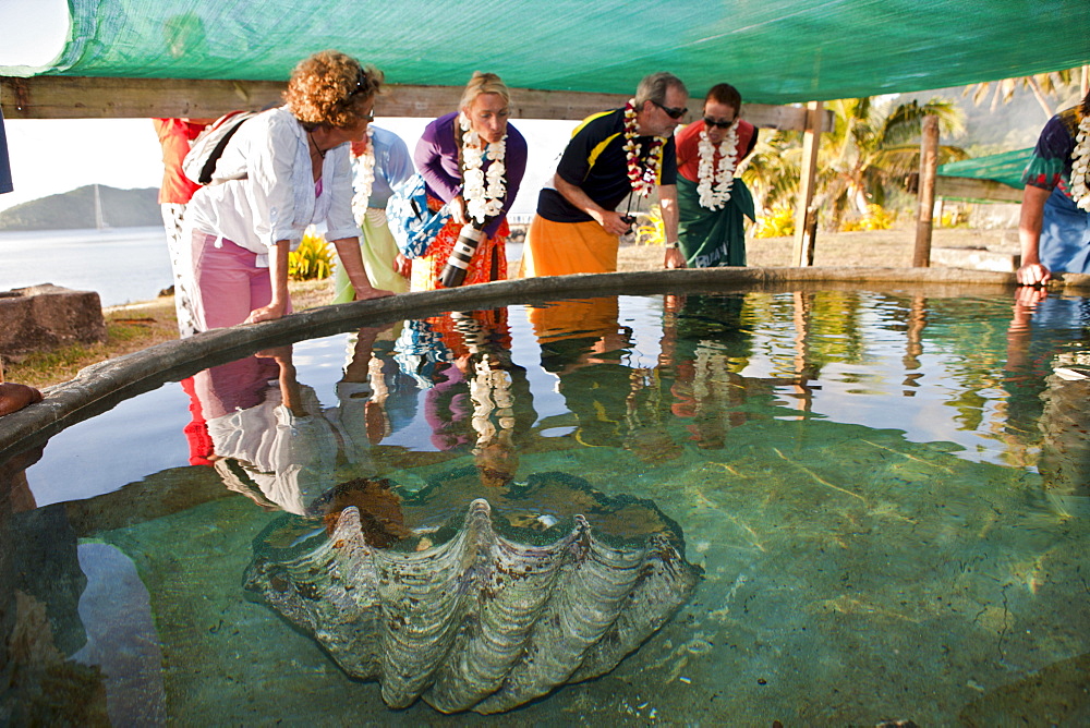 Giant Clam Farm, Tridacna gigas, Makogai, Lomaviti, Fiji