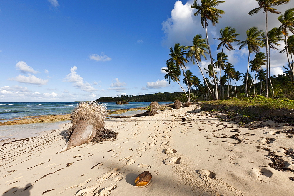 Playa Rincon Beach near Las Galeras, Samana Peninsula, Dominican Republic