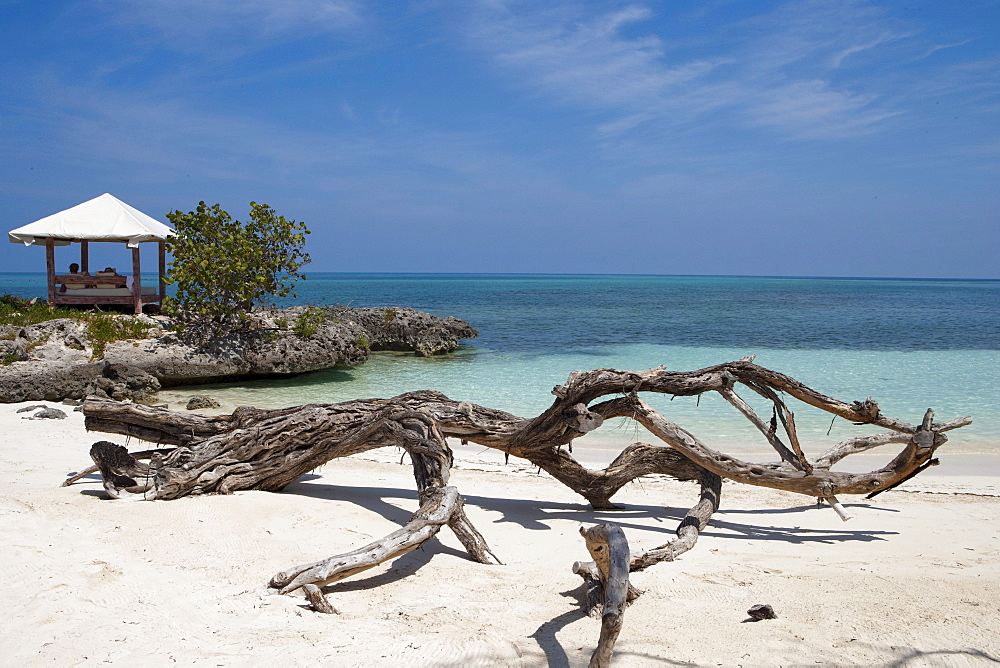 Driftwood on the beach and beach pavilion, Paradisus Rio de Oro resort, Playa Esmeralda, Guardalavaca, Holguin, Cuba