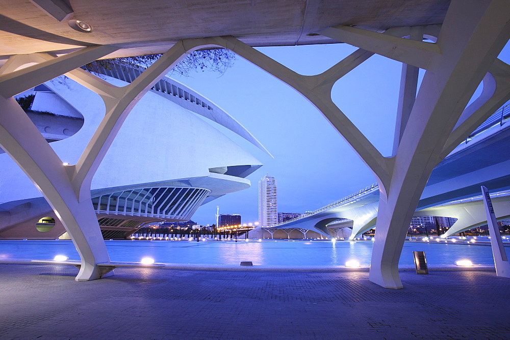 Palau de les Arts Reina SofÃŒa, Architect Santiago Calatrava, Valencia, Spain