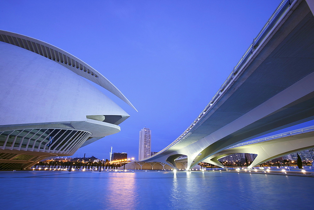 Palau de les Arts Reina SofÃŒa, Architect Santiago Calatrava, Av Autopista del Saler, Pont de Pont de Montolivet, Valencia, Spain