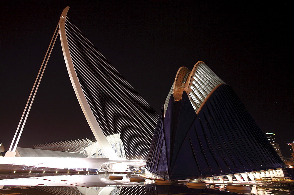 Agora, Architect Santiago Calatrava, Valencia, Spain